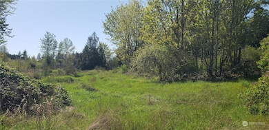 10010 219th Street Ct E, Graham, WA 98338 - photo 5