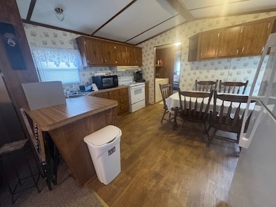 973 Apache Trail, Fancy Gap, VA 24328 - photo 4