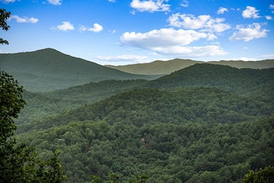 395 Pontoosuc Dr, Mineral Bluff, GA 30559 - photo 3