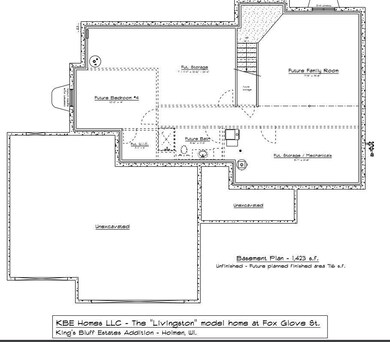 Livingston - FUTURE BASEMENT.jpg
