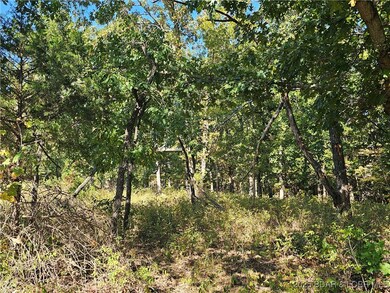 Tract D Beechnut Rd, Buffalo Township, MO 65078 - photo 5