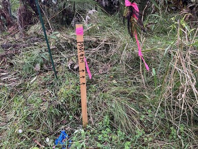 0 Ala Ohia St unit 706502, Volcano, HI 96785 - photo 5