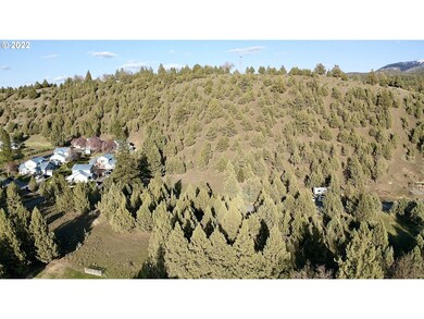 0 Patterson Dr unit 22501178, Canyon City, OR 97820 - photo 5