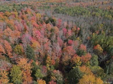 TBD Norlund Rd, Ironwood, MI 49938 - photo 3