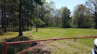 2220 Mill Creek Rd, Laurel, MS 39443 - photo 2