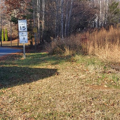 000 Town View Estates unit LOTS 1 & 2, Jamestown, KY 42629 - photo 4