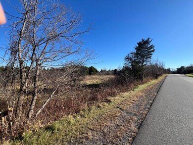 . Ketcham Bridge Rd, West Chazy, NY 12992 - photo 7