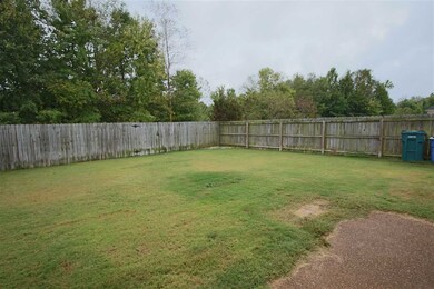 This is a view from the patio!
