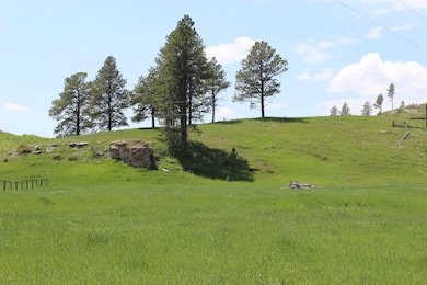 20.57 acres Custer Limestone Rd, Crazy Horse, SD 57730 - photo 2