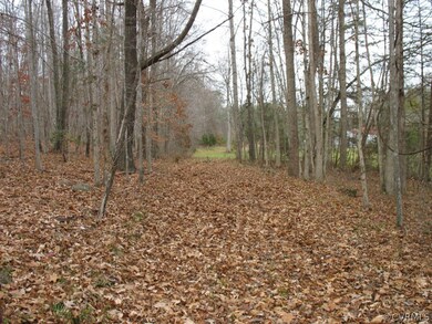 346 Fox Branch Run, Louisa, VA 23093 - photo 7