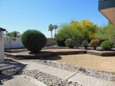 10626 W Wheatridge Dr, Sun City, AZ 85373 - photo 7