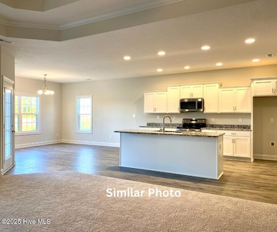 207 Windsor Run Blvd, Jacksonville, NC 28546 - photo 6