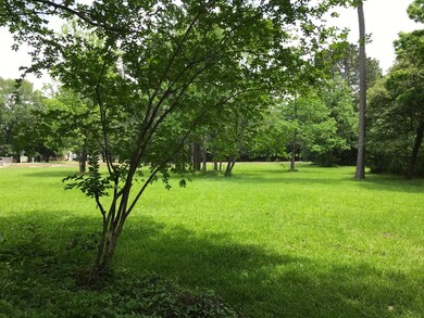 45, 46-A Basswood Dr, Spring, TX 77386 - photo 4