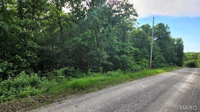 Lot 144 B-1 Robinson Dr, Edwards, MO 65326 - photo 3