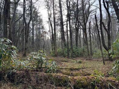 001 Joe Poore Rd, Newland, NC 28657 - photo 4