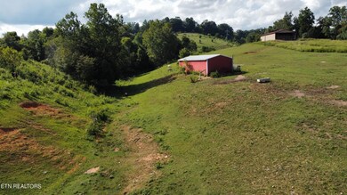 557 Carrol Greenlee Rd, Rutledge, TN 37861 - photo 7