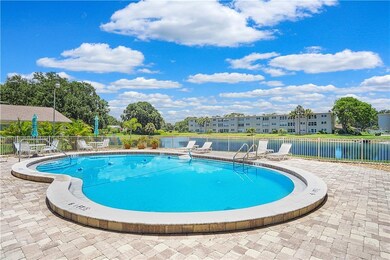 Pool and pond