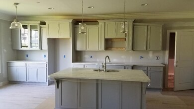 Huge kitchen with huge island with extra storage.  Double ovens, gas cooktop on the way.  Pull out spice rack and utensil drawer. (not actual home for sale.)