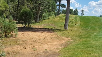 Back of lot