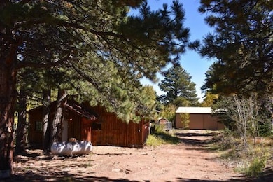 370 Road 182w, Westcliffe, CO 81252 - photo 2