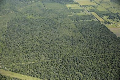 000 Spell Rd, Needville, TX 77461 - photo 2