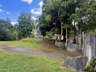 Calle Juan Ramos Bo Guaraguao, Guaynabo, PR 00969 - photo 3