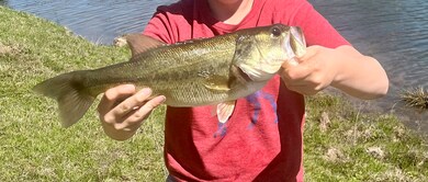 000 Fm 71, Talco, TX 75487 - photo 5