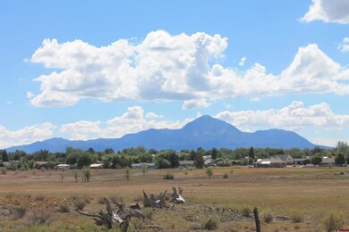 Lot B Tucker Ln, Cortez, CO 81321 - photo 2