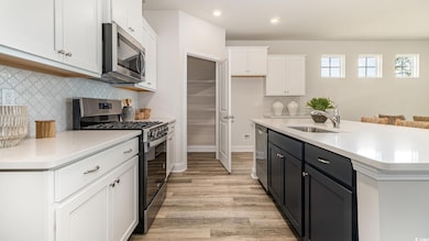 Kitchen with stainless steel appliances, white cabinetry, a sink, light wood finished floors, and tasteful backsplash