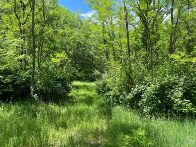 0 Lake Mills Rd unit 153003, Cairo, NY 12413 - photo 4