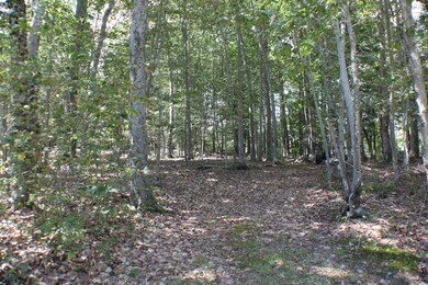 17 Emerald Point Dr, Frye Island, ME 04071 - photo 5