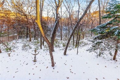 Backyard looks like a forest oasis offering lots o