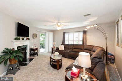 6500 Ridenour Way E unit 1D, Sykesville, MD 21784 - photo 4