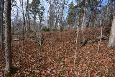 TBD Hickory Dr, Pounding Mill, VA 24637 - photo 5