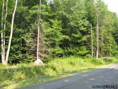 24 Lincoln Mountain Rd, Greenfield Center, NY 12833 - photo 3