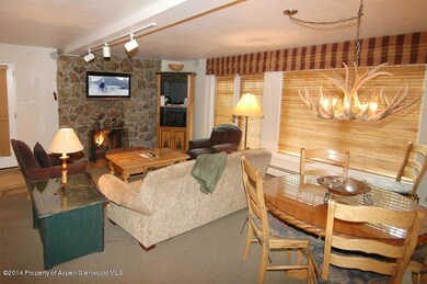 718 S Mill St unit 12, Aspen, CO 81611 - photo 5