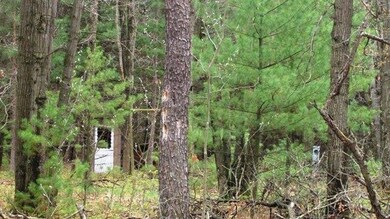 0 Fremont unit 1705842, Byron, WI 54660 - photo 5