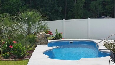 Bald Cypress Pool 3