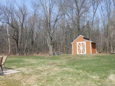 Shed