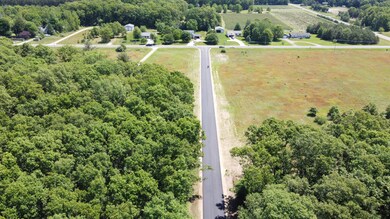 DJI_0703