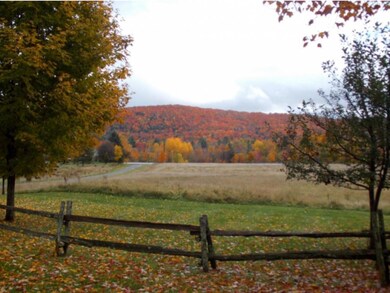 169 Maple Croft, North Troy, VT 05859 - photo 6