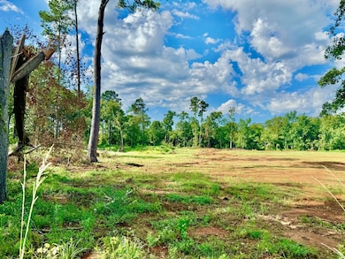 417 Old Tejas Trail W, Hemphill, TX 75948 - photo 4