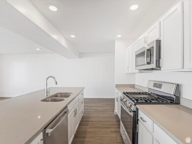 Kitchen with stainless steel appliances, white cabinetry, dark wood-style floors, and recessed lighting