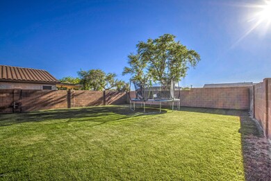 Back yard