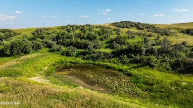 Tbd 60th Ave SW, Leith, ND 58529 - photo 5