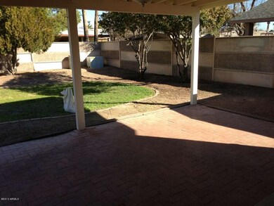 backyard4
