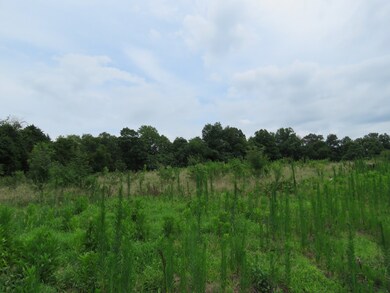 0 Lake Bluff Rd unit RTC2414057, Baxter, TN 38544 - photo 4