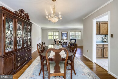 1403 Dade Ln, Alexandria, VA 22308 - photo 6