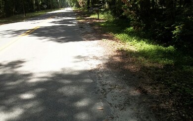TBD Washington Ave Lot 8, Fort White, FL 32038 - photo 2