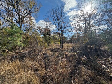 27 Thelma Rd, Eufaula, OK 74432 - photo 6